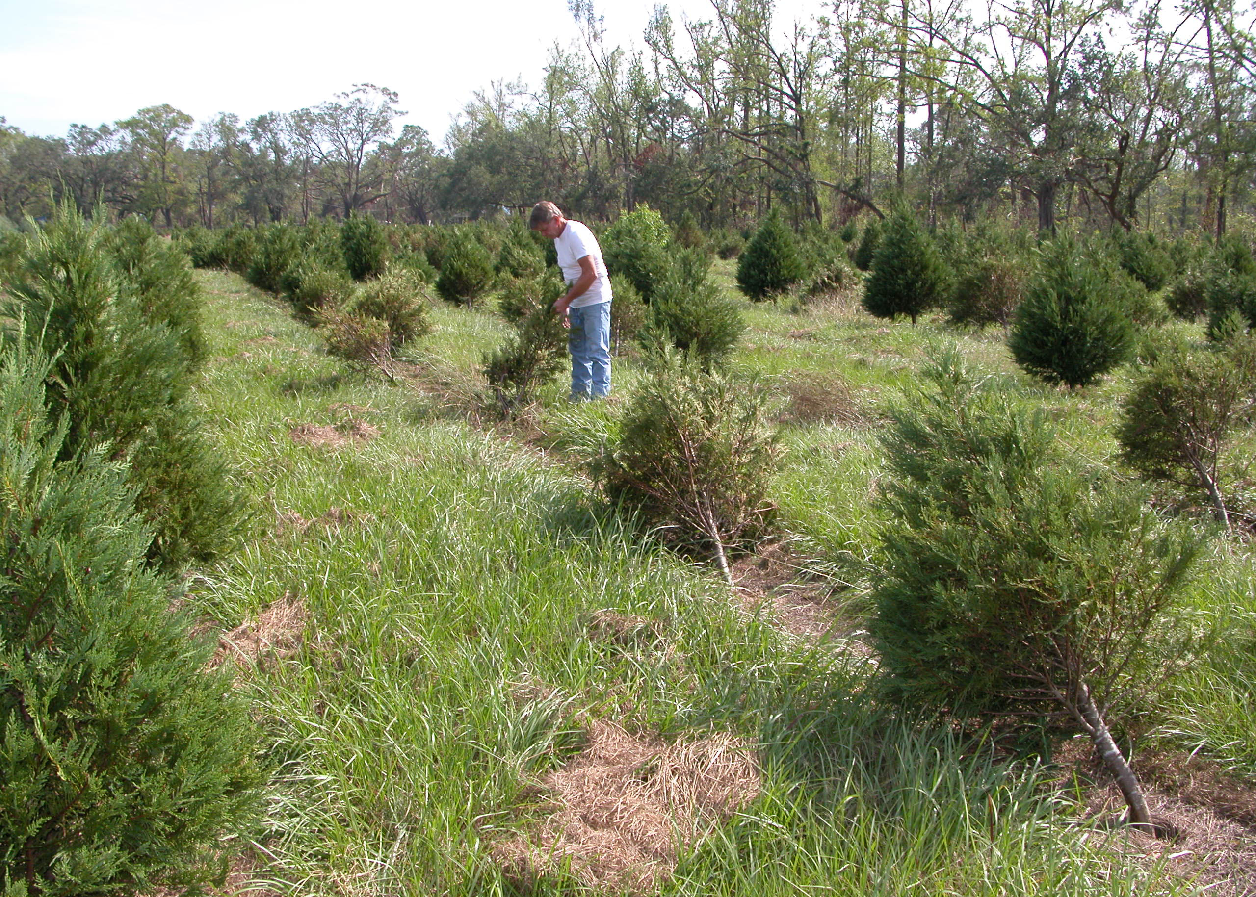 Two workshops on running an agritourism business Nov. 8, 10